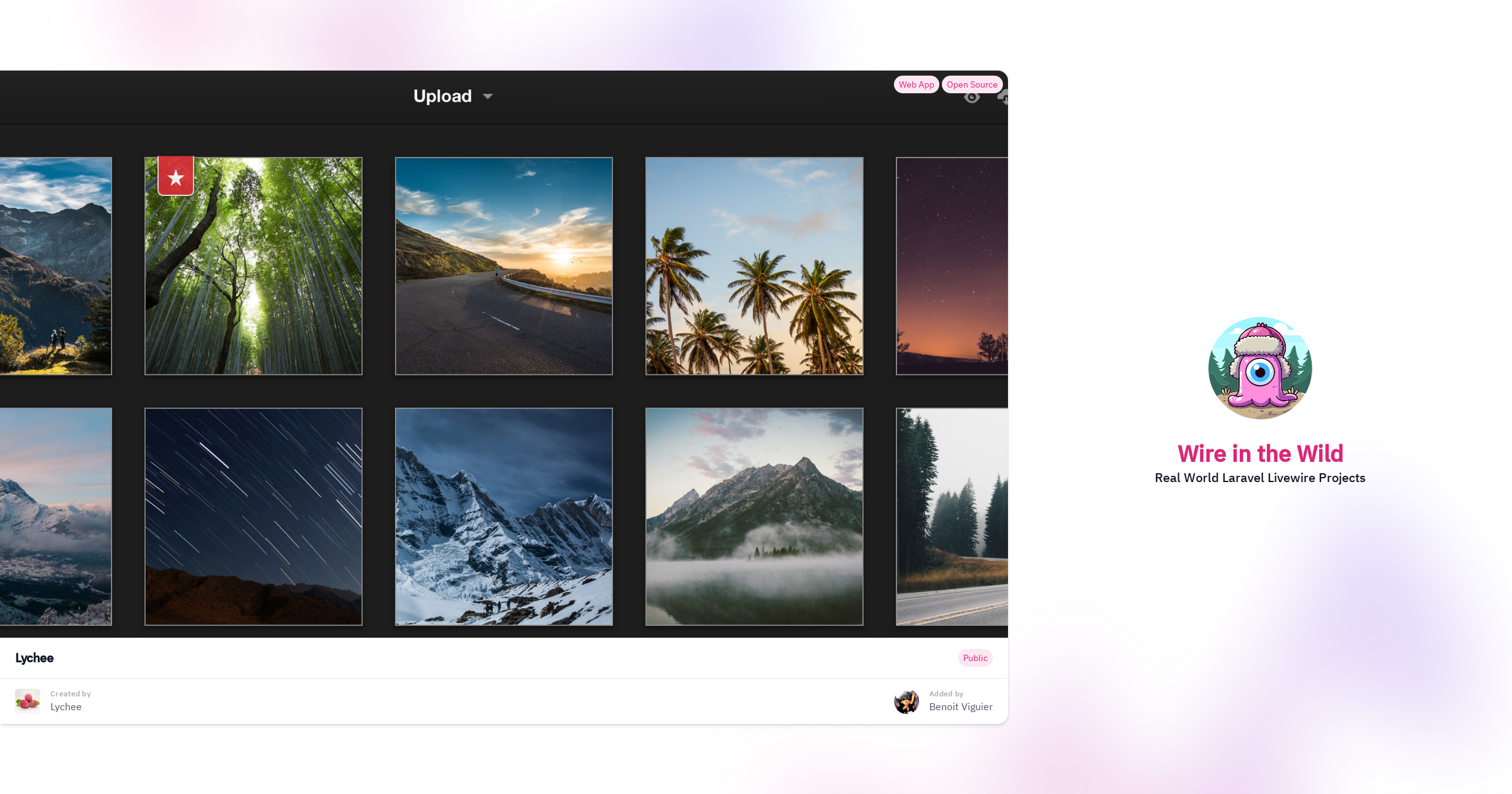 Lychee Photo Server Lychee | Wire in the Wild